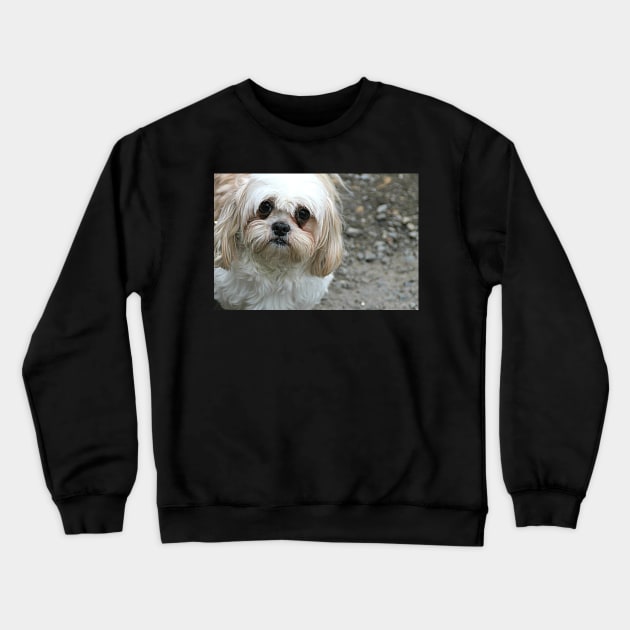 Roxy Crewneck Sweatshirt by Ladymoose